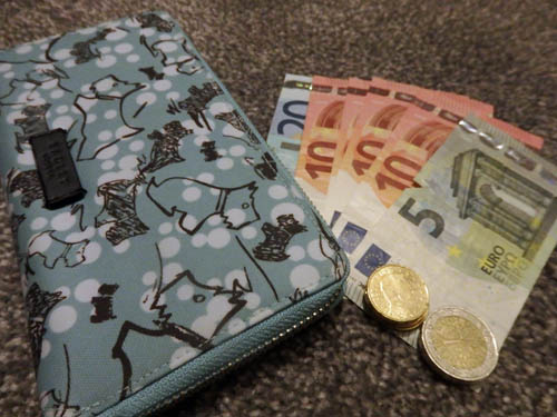 Purse and Euros