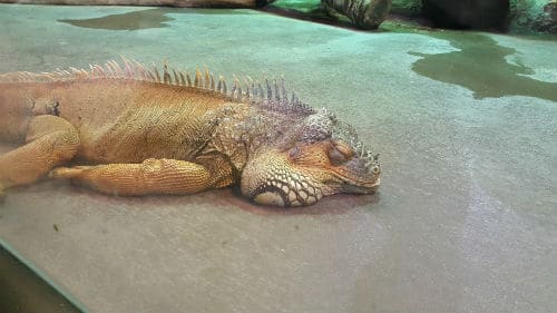 Marineland Majorca