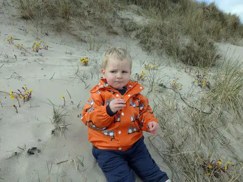 Toddler eating dairy free chocolate