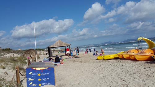 View of Beach in Alcudia Pins