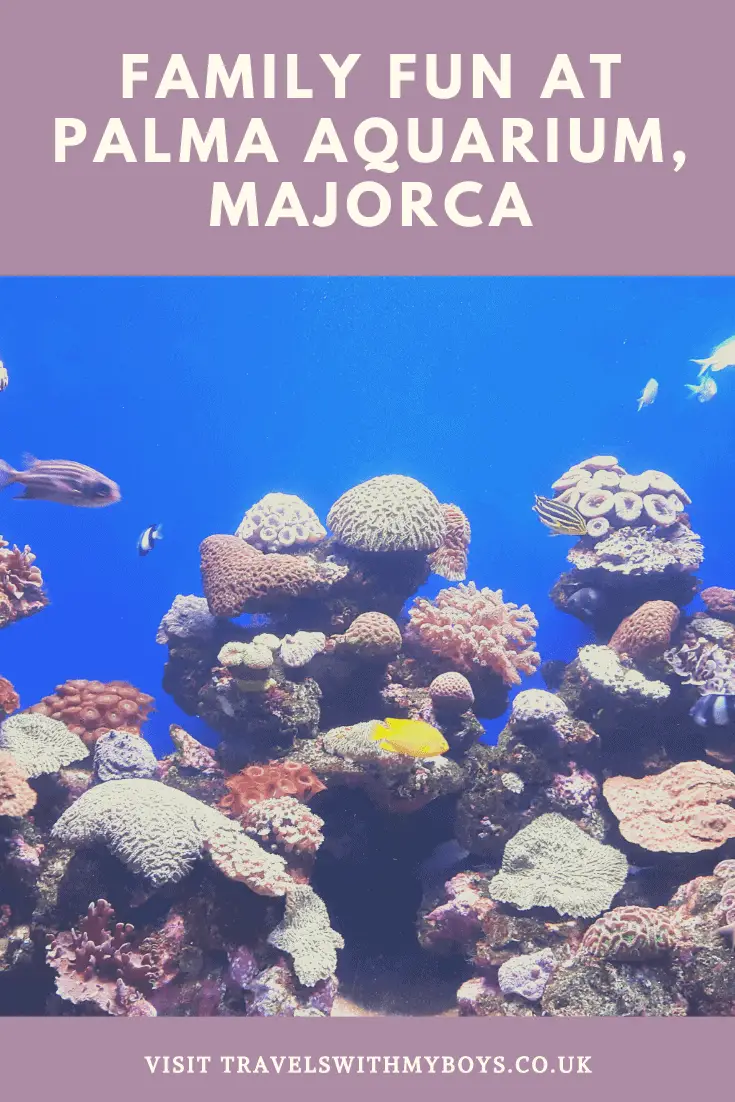 Palma Aquarium in Majorca