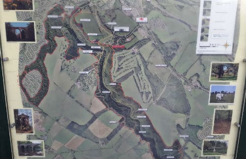 Map of walks at Chatelherault Country Park