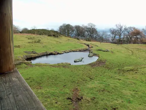 Pond at Edinburgh Zoo