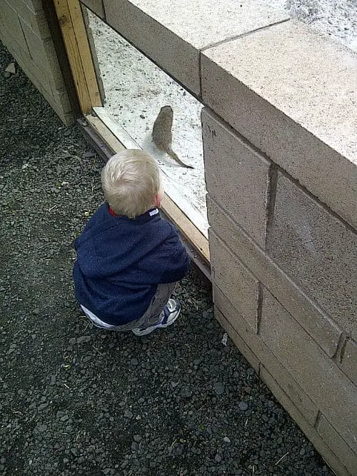 Boy at Five Sisters Zoo