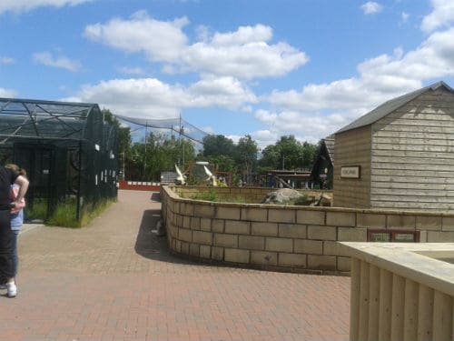 Auchingarrich Wildlife Centre