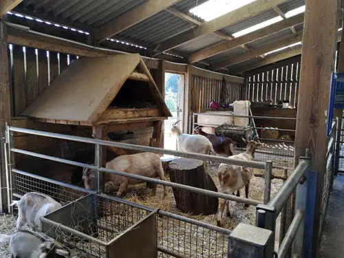 Almond Valley Heritage Centre - Mill Farm