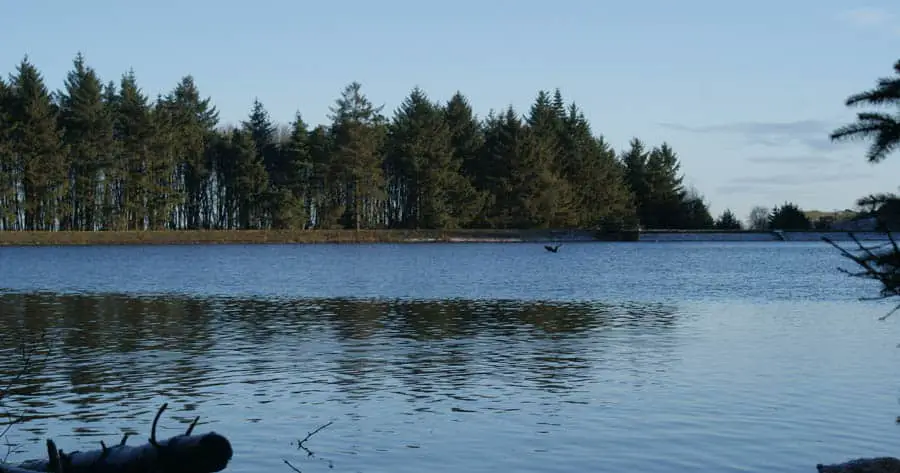 Beecraigs Country Park