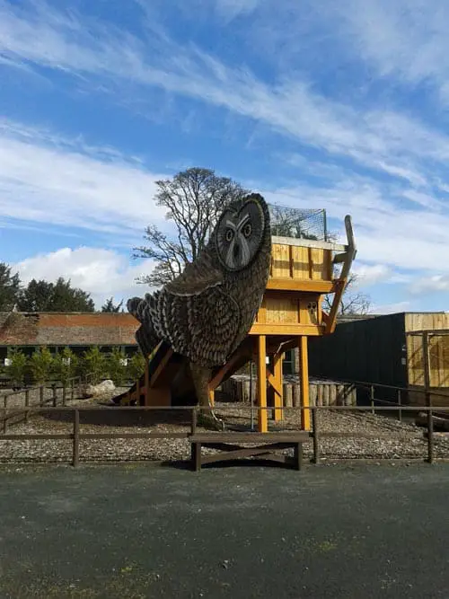 Play park at Scottish Owl Centre