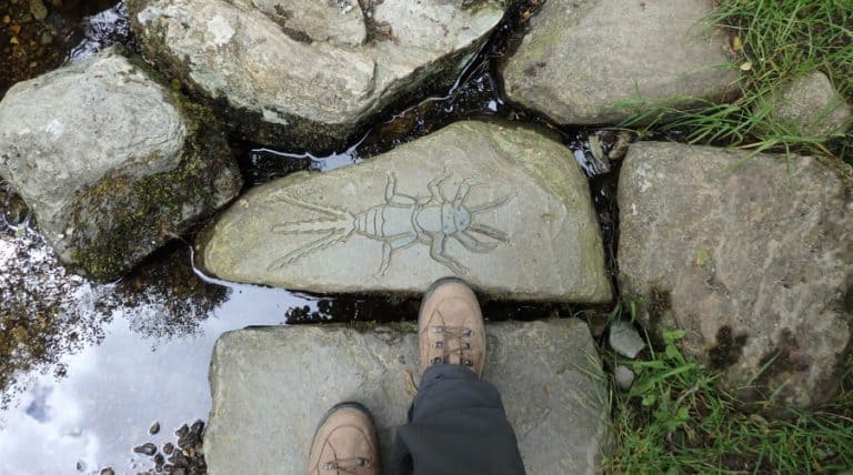 Foot on rock