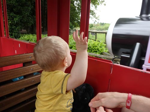 On Rosie at Drayton Manor