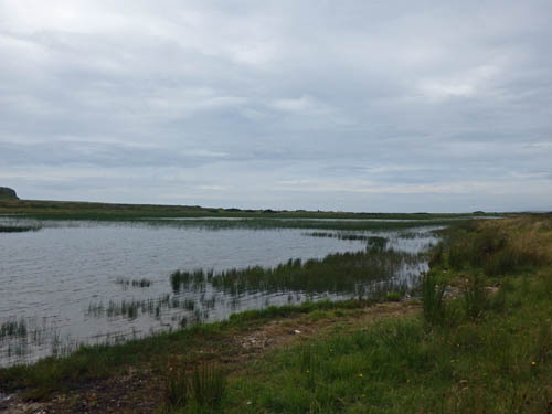 Islay View