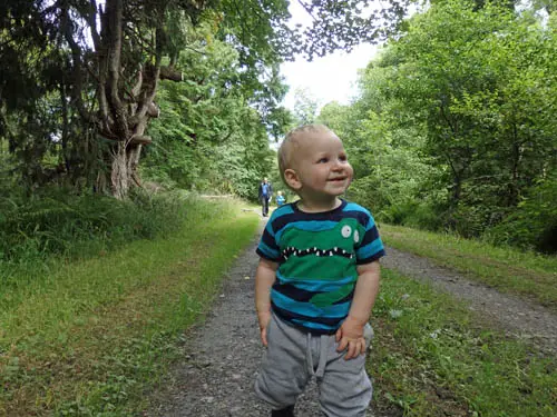 Toddler in forest