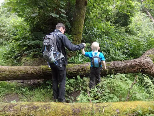 Climbing over trees