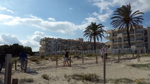 view of the alcudia pins hotel