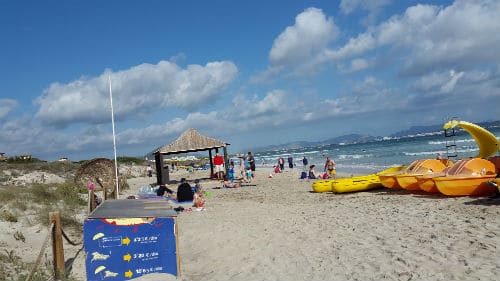 Playa de Muro beach