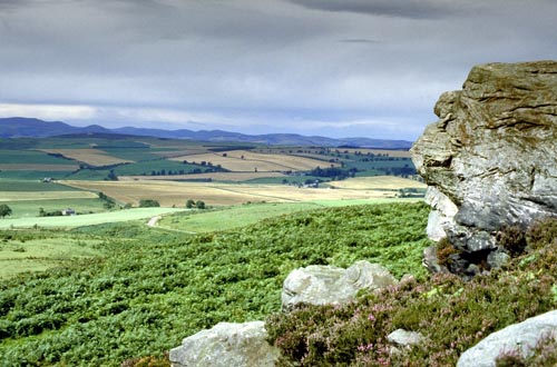 Northumberland landscape