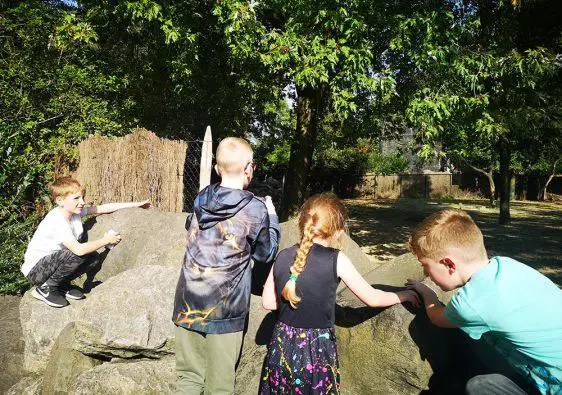 Rotterdam Zoo with Kids