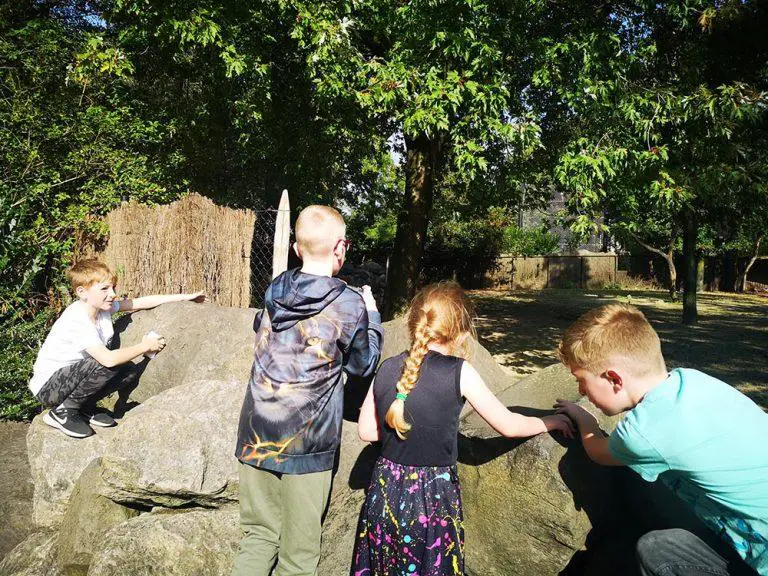 Rotterdam Zoo with Kids