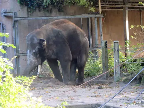 Rotterdam Zoo