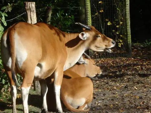 Rotterdam Zoo