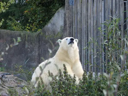 Rotterdam Zoo