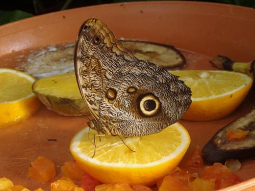 Rotterdam Zoo