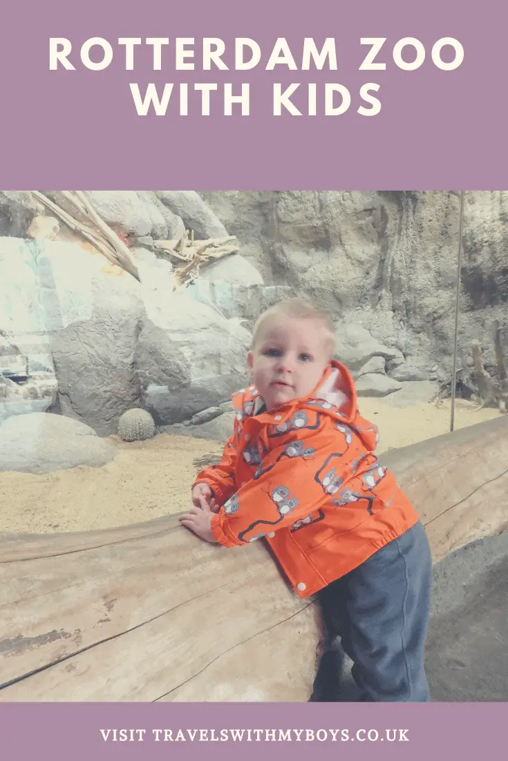 A review on Rotterdam Zoo with Kids