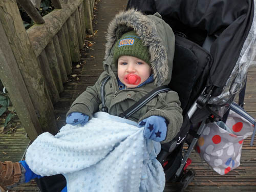 Toddler at Chester Zoo