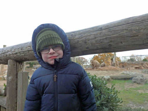 Child at Chester Zoo