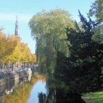 van der werf park