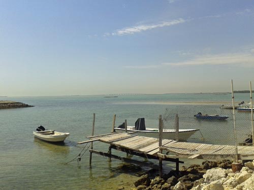 Bahrain Landscape
