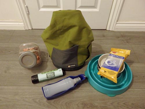 Items to take on dog holiday