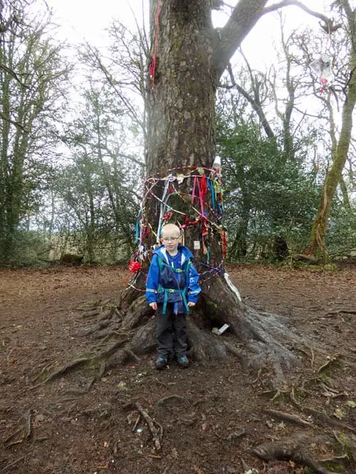 Doon Hill, Aberfoyle