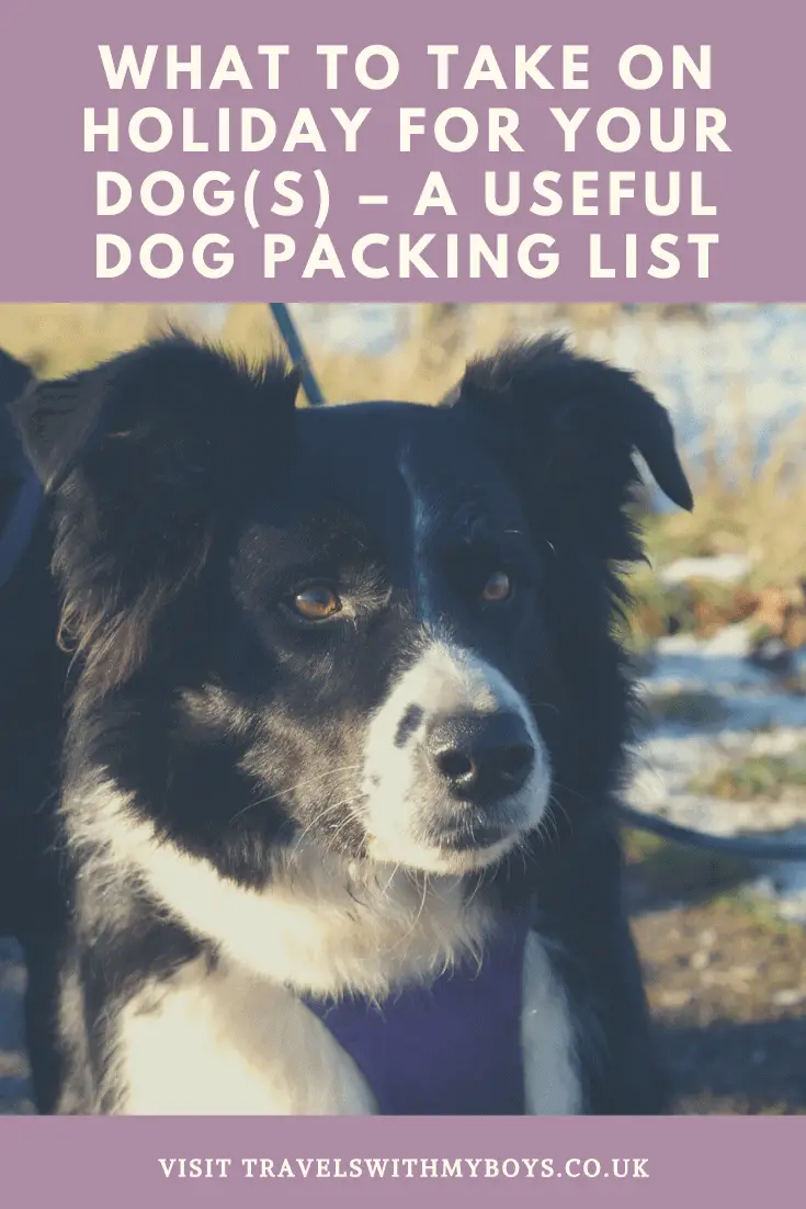 What to take on holiday for your dog | Dog packing list for a holiday with dogs