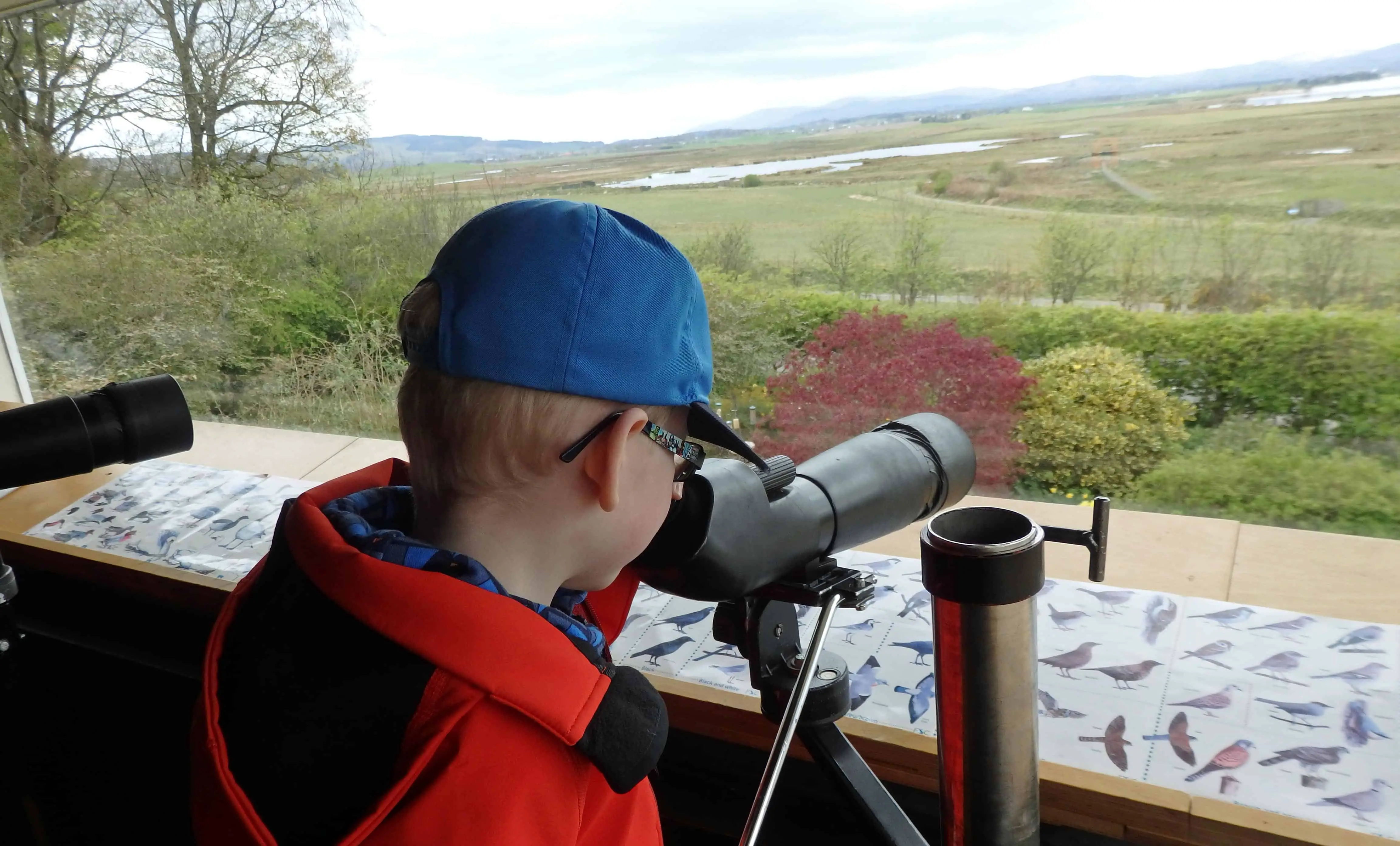 Loch Leven Birdwatching