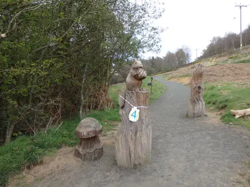 RSPB Loch Leven 