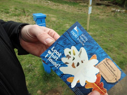RSPB Loch Leven