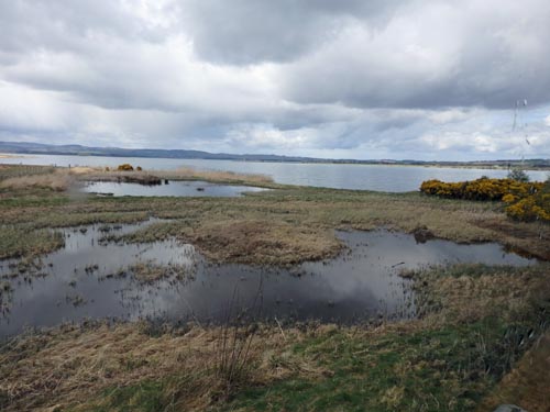 RSPB Loch Leven 