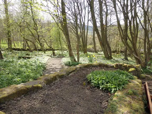 RSPB Loch Leven 