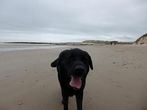 Bamburgh Beach