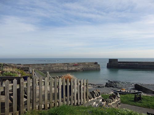 Craster near to Dunstanburgh Castle