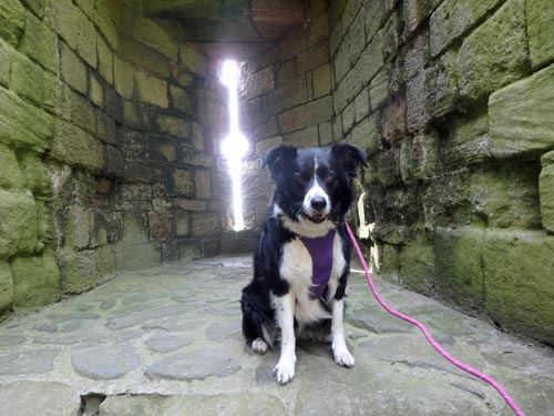 Dunstanburgh Castle