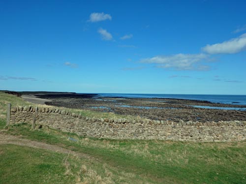 Holy Island Views