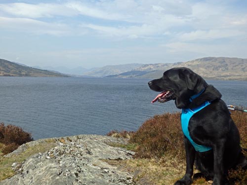 Loch Katrine Views