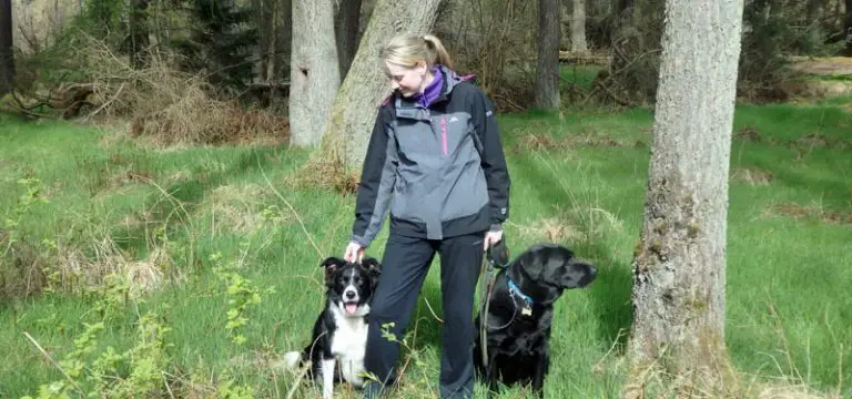 Summer hiking essential - rain jacket