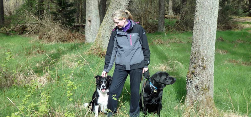 How Dog Friendly is Northumberland?