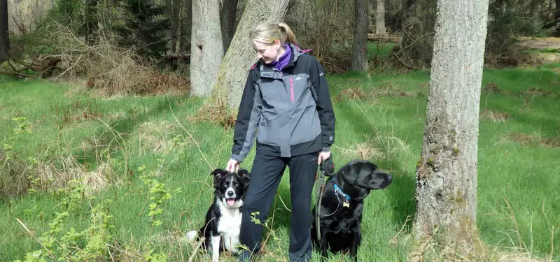 How Dog Friendly is Northumberland?