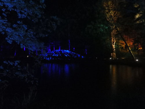 Reflections in the water at the enchanted forest