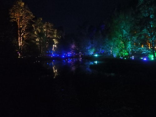 Reflections in the water at the enchanted forest
