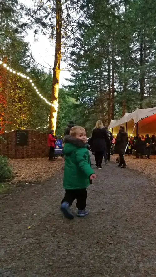 Child at the Enchanted Forest